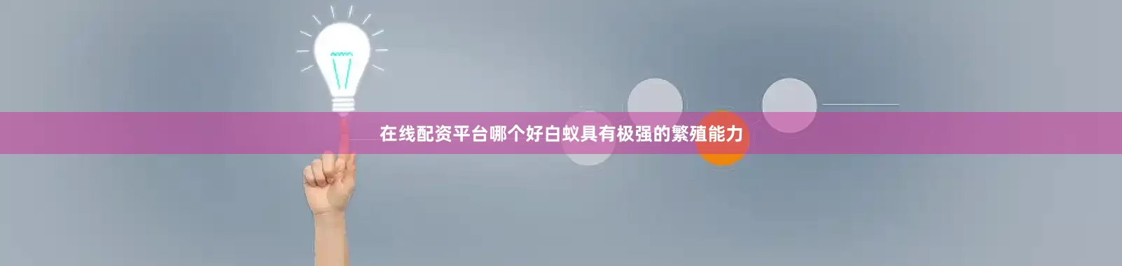 在线配资平台哪个好白蚁具有极强的繁殖能力