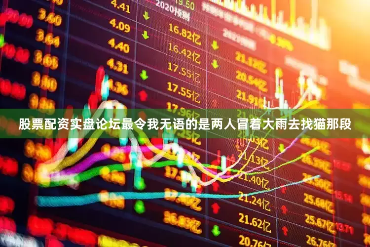 股票配资实盘论坛最令我无语的是两人冒着大雨去找猫那段