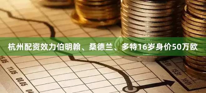 杭州配资效力伯明翰、桑德兰、多特16岁身价50万欧