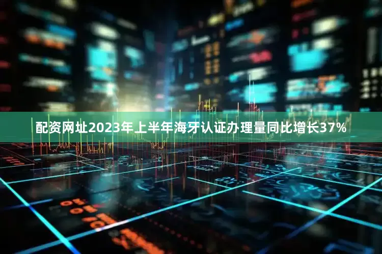 配资网址2023年上半年海牙认证办理量同比增长37%