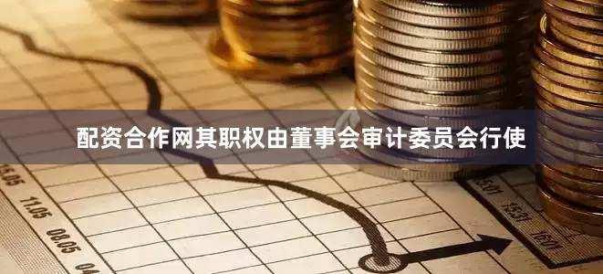 配资合作网其职权由董事会审计委员会行使